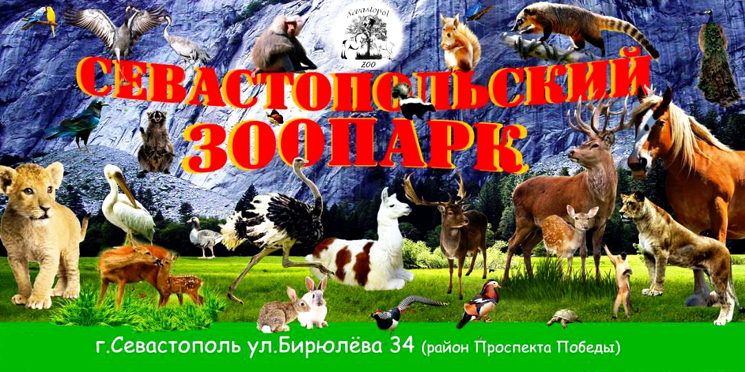 Зоопарк в Севастополе